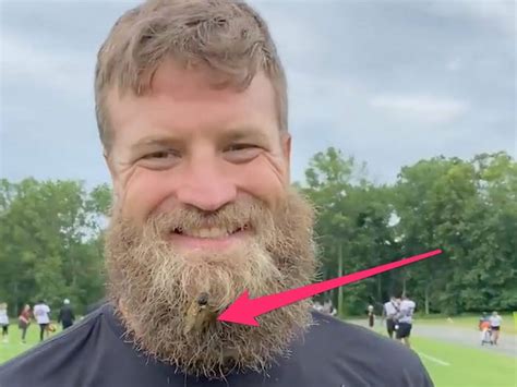 VIDEO: Ryan Fitzpatrick Shows Off Cicada Stuck in His Bushy Beard ...