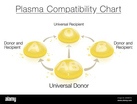 Plasma compatibility chart with universal donor AB and universal ...