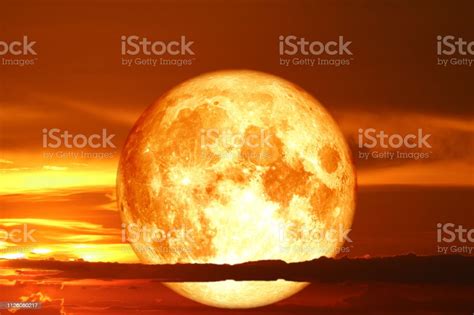 Super Snow Blood Moon Back On Night Sky Silhouette Cloud Stock Photo - Download Image Now - iStock