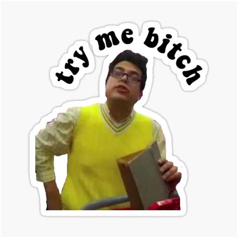 "try me bitch meme" Sticker for Sale by allipally | Redbubble