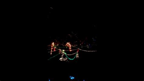 Zootastic Christmas Lights - YouTube