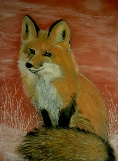 Sitting Fox Drawing at GetDrawings | Free download