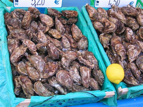 Oysters | berkeleyblue | Flickr