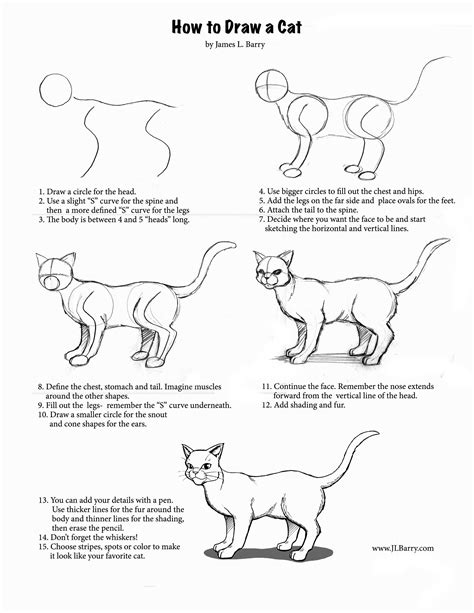 How to Draw a Cat | Cat drawing tutorial, Warrior cat drawings, Cat drawing