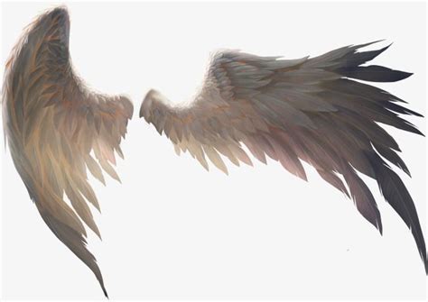 A Pair Of Birds Wings | Wings art, Wings drawing, Feather png