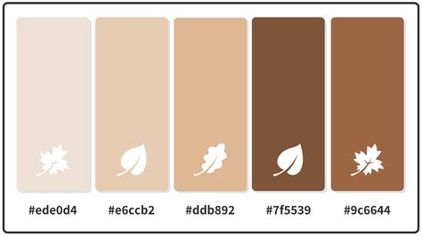 Brown Aesthetic Color Palette