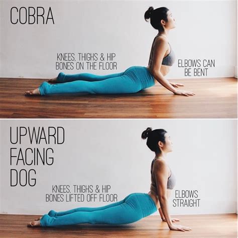 must know yoga poses upward facing dog vs cobra photos – Yoga Poses