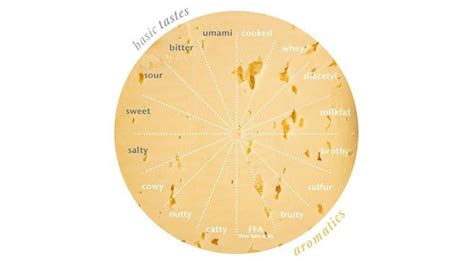 After reading these cheese descriptions you won't want to eat any ;) Cheese Wheel, Types Of ...