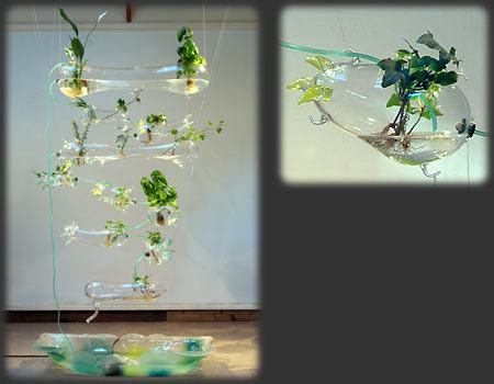 Amy Youngs - hanging glass garden "Hydroponic Solar Garden"