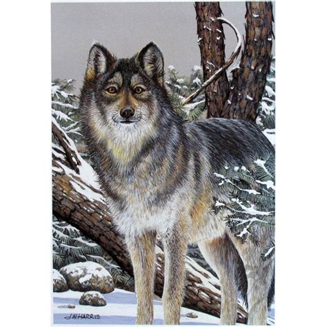 WOLF REALISTIC SIGNED LITHOGRAPH LIQUIDATION SALE