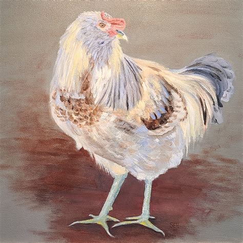 Easter Egger Rooster - Susan E. Hanna