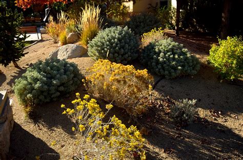 Xeriscaping | Outside the Nevada State Museum | Tom Hilton | Flickr