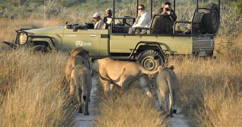 Botswana Wildlife Safari Tour