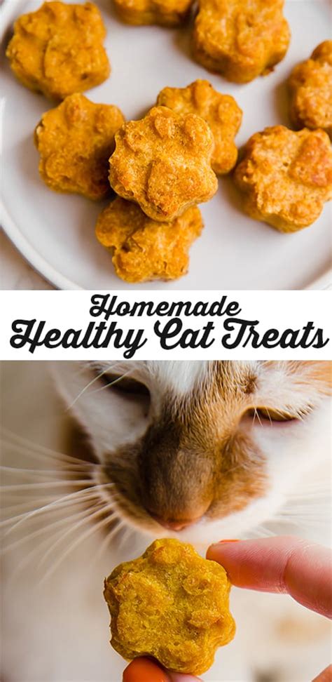 Healthy Homemade Pumpkin Cat Treats - Unbound Wellness