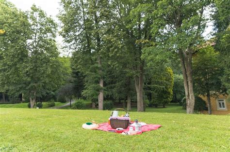 Picnic basket on the grass field | Free Photo