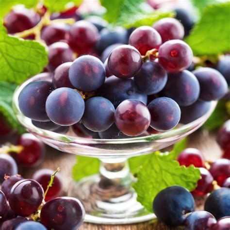 Resveratrol: Unlocking the Potential of a Natural Anti-Aging Compound - Philadelphia MedSpa LookUp