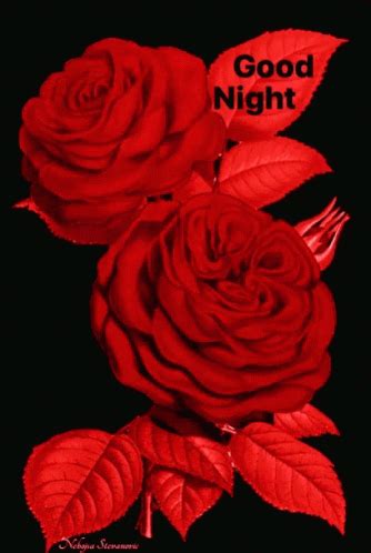 Love Roses GIF - Love Roses GoodNight - Discover & Share GIFs