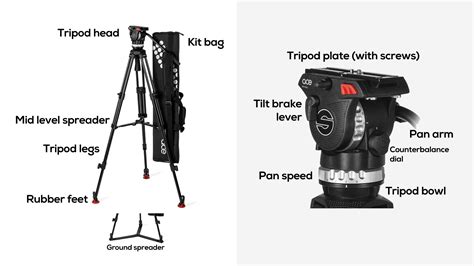 Gearing up – tripod essentials | Wildeye