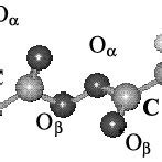 Molecular model of the LPO | Download Scientific Diagram