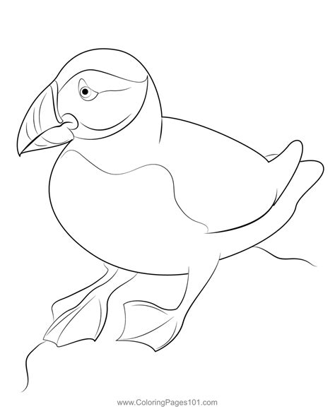 Puffin Coloring Sheets For Kids Coloring Pages