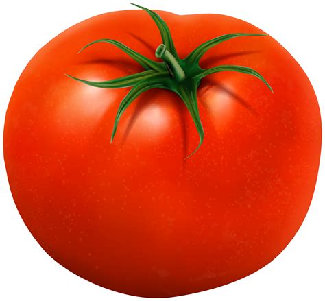 Tomato clipart, Tomato Transparent FREE for download on WebStockReview 2024