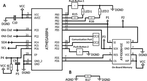 Schematic diagram of the digital circuit. (A) Digital circuit. (B ...