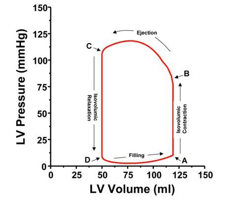 What Bioengineers Should Know About Pressure-Volume Loop Technology