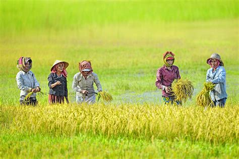 Cambodia Lifestyle | The Daily Lifestyle of Cambodian People