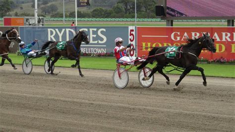 Menangle harness racing meeting's 10 races moved to Newcastle | Newcastle Herald | Newcastle, NSW