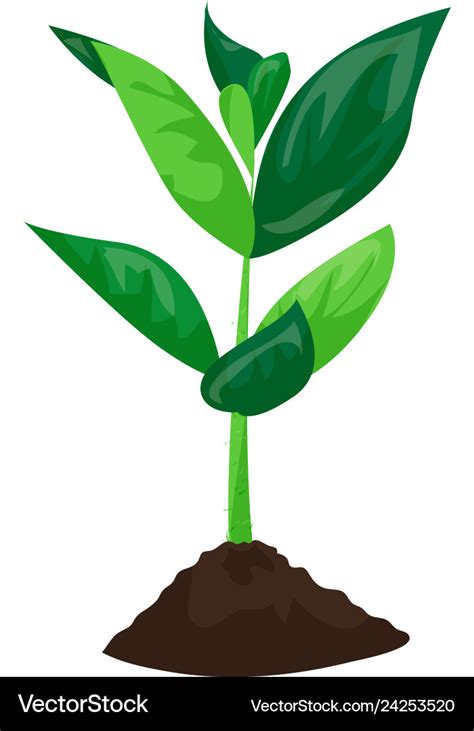 Soybean plant in ground icon cartoon style Vector Image