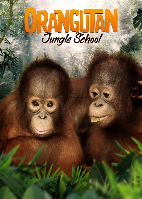 Το Σχολείο των Ουρακοτάγκων Orangutan Jungle School