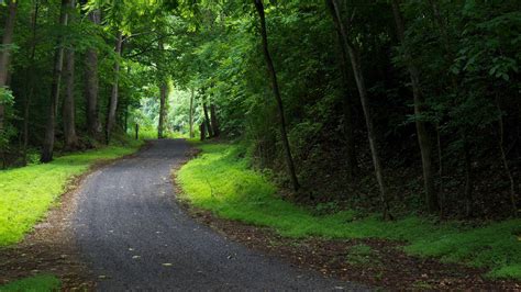 Pretty photo of a Virginia trail through the woods! | Pretty places ...