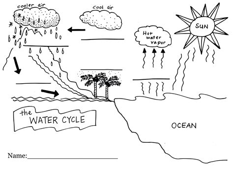 The Water Cycle Worksheet Answers — db-excel.com