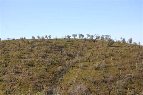 EN MONTE PÚBLICO: SUELO FORESTAL Y GESTIÓN PARA LA CONSERVACIÓN