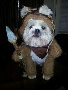 7 Best Wookie Costume ideas | ewok costume, ewok, dog costumes