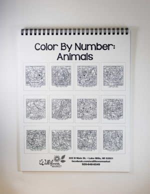 Color By Number Animals Coloring Book | Wallflower Market