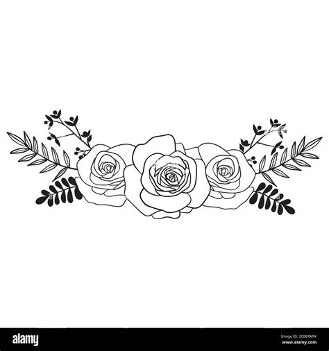 Rose sketch Black outline on white background Stock Vector Image & Art - Alamy