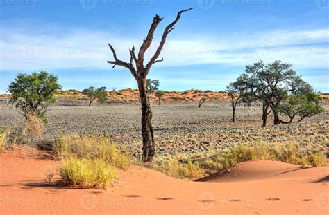 Desert Landscape - NamibRand, Namibia 16164230 Stock Photo at Vecteezy