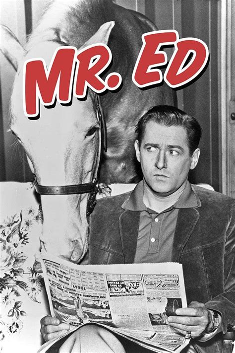 Mister Ed (TV Series 1958–1966) | Childhood tv shows, Old tv shows, Mister ed