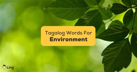 9 Easy Tagalog Words For The Environment - ling-app.com