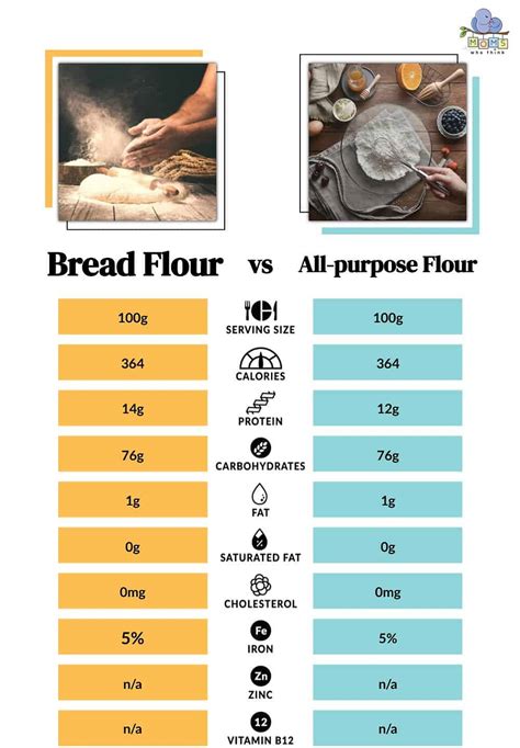 Bread Flour vs. All-Purpose Flour: Which Has More Protein?