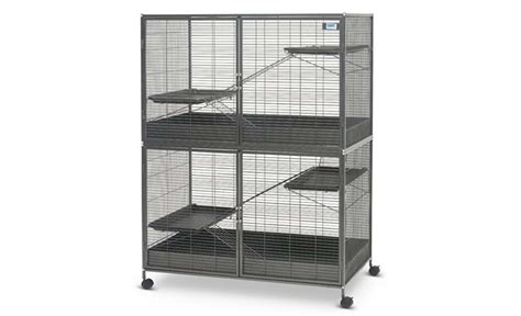 Best Rat Cages That Meet Ethical Cage Size Requirements