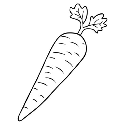 35,824 Carrot Outline Royalty-Free Photos and Stock Images | Shutterstock