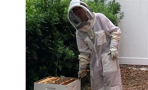 Local Honey by Tampa Bees in Tampa, FL - Alignable