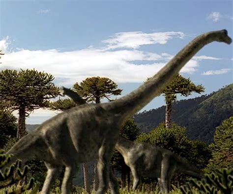 Brachiosaurus (Walking With Dinosaurs) | CleverClaire99 Wiki | Fandom