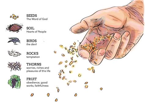 The Parable Of The Sower