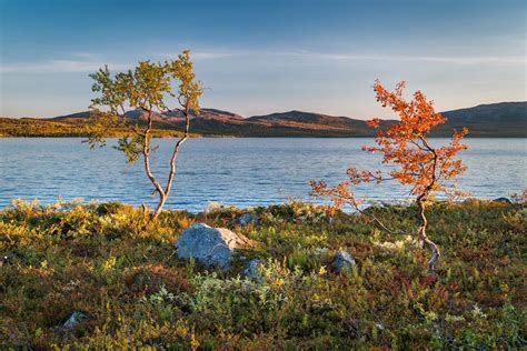 The Colors of Lapland - Salamapaja