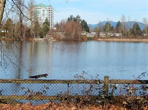 Warm weather breaks Abbotsford temperature record - The Abbotsford News