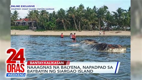 Naaagnas na balyena, napadpad sa baybayin ng Siargao Island | 24 Oras ...