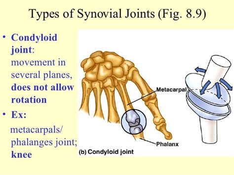 Unit 8 Ppt